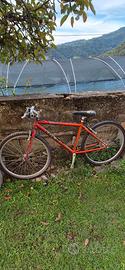Mtb Trek in alluminio