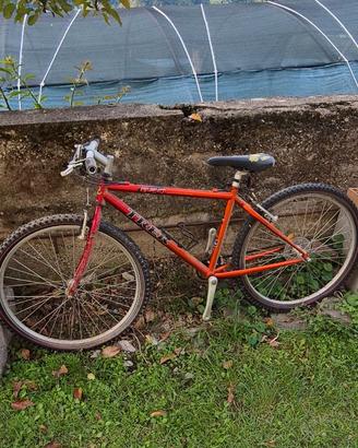 Mtb Trek in alluminio