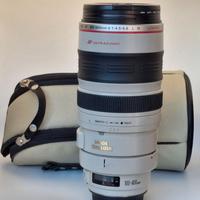 Canon EF 100-400mm f/4.5-5.6 L IS USM "il Pompone"