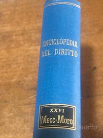 Enciclopedia  del diritto