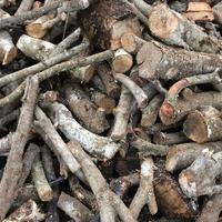 Legna da bosco privato