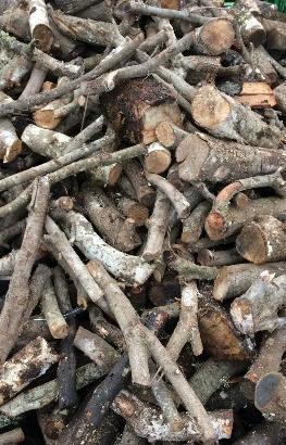 Legna da bosco privato