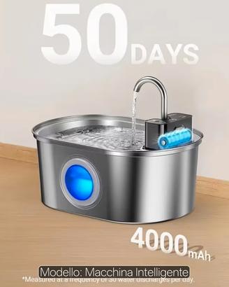 Fontanella acqua gatti