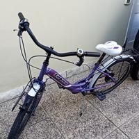 bicicletta 