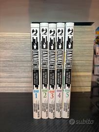 Manga Danmachi 1-5 sword oratoria