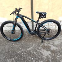 E-BIKE  FOCUS BOLD 2