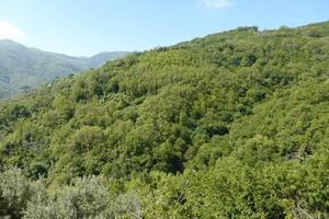 RGE 145/2012 Trib Patti - LOTTO 5