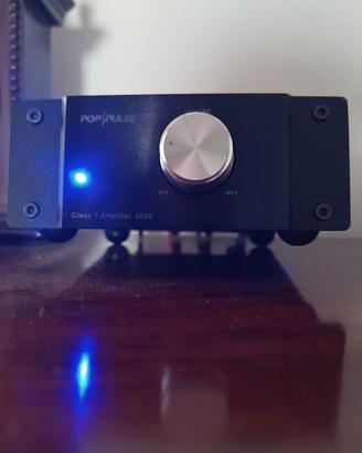 T-AMP POP/PULSE 2020