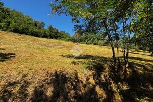 TER. AGRICOLO A CIVITELLA DI ROMAGNA