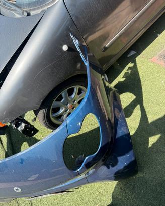 Musata e pannelli smart fortwo w450