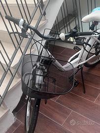 Bicicletta