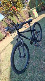 bicicletta
