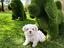 Immagine 5
