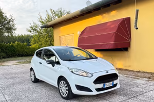 Ford Fiesta 1.5 TDCi 75CV 3 porte Van Entry