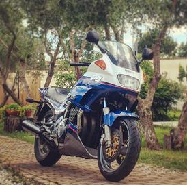 Yamaha FJ 1200 Sport Tourer per Amatori