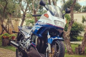 Yamaha FJ 1200 Sport Tourer per Amatori