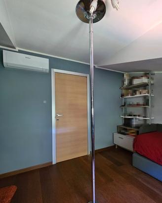 Palo da pole dance