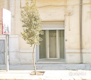Locale Commerciale 60 mq h. 5 metri con soppalco