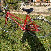 Bicicletta Benotto da città