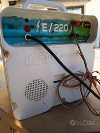 Elettrificatore per recinto