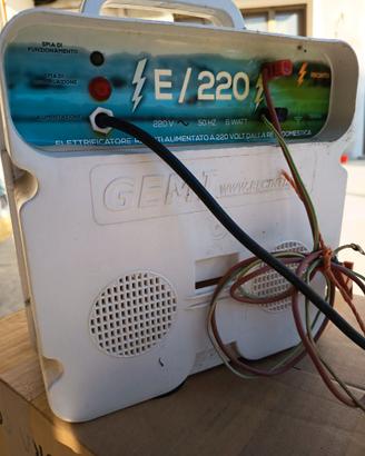 Elettrificatore per recinto