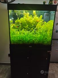 Acquario Juwell 200