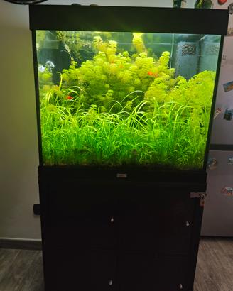 Acquario Juwell 200