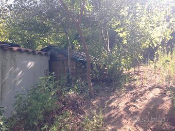 Terreno in Casamarciano