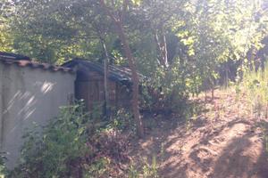 Terreno in Casamarciano