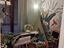Immagine 12