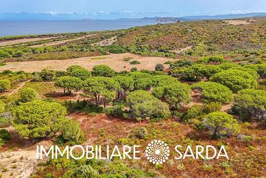 Terreno Vista Mare con Progetto Approvato | Vignol