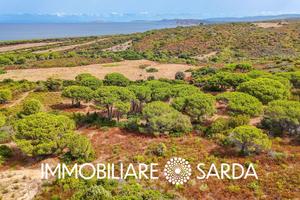 Terreno Vista Mare con Progetto Approvato | Vignol
