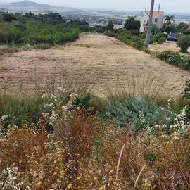Terreno agricolo