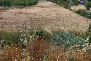 Terreno agricolo