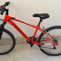 Mountain bike Montana 24’