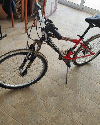 Bicicletta bambini 24