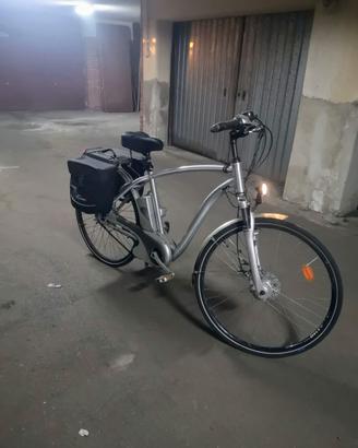 Ebike Flyer