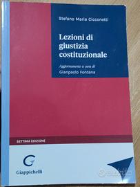 Lezioni di giustizia costituzionale 