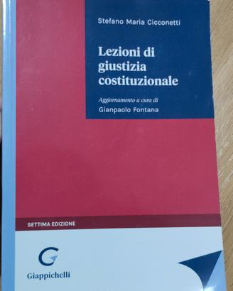 Lezioni di giustizia costituzionale 