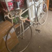 Atala da corsa