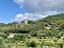 Immagine 19