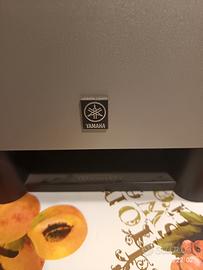 subwoofer Yamaha amplificato 