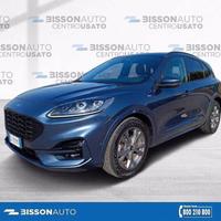 FORD Kuga 2.0 EcoBlue Hybrid 150 CV 2WD ST-Line