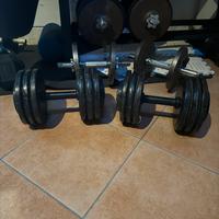 MANUBRI FISSI  32 kg cadauno