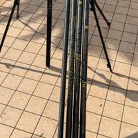 Roubesienne tubertini