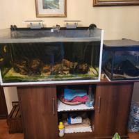 mobile acquario juwel 150cm