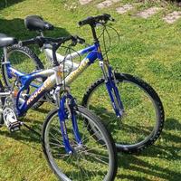 Coppia di biciclette uomo/donna