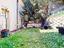Immagine 25