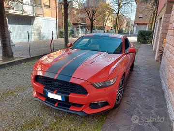 Mustang Premium 2016