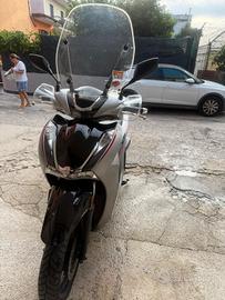 SH 350 SPORT 2024